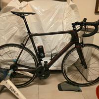 Olympia 849 (Taglia XL) 