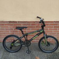 bmx regina REVISIONATA