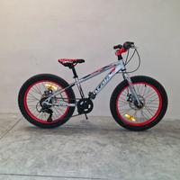 ATALA SNOWBALL FAT 20'' 6V FRENI A DISCO