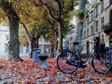 Locale commerciale a Lucca