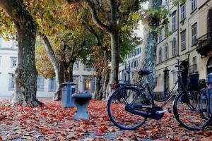 Locale commerciale a Lucca