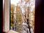 Immagine 25