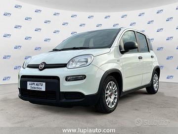 FIAT Panda 1.0 firefly hybrid s&s 70cv 5p.ti