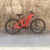 Canyon e-mtb