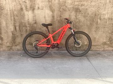 Canyon e-mtb