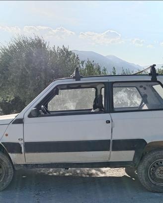 Disponibili panda trekking 4x4