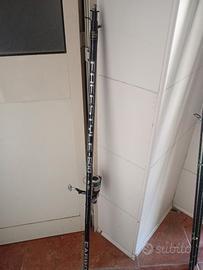 Canna bolognese