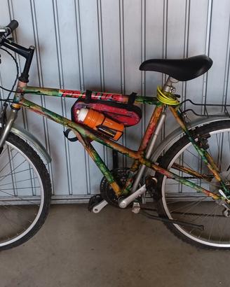 bicicletta mountain bike