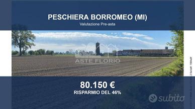 Immobile in asta di 26080 m² a Peschiera Borromeo