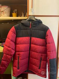 Piumino Hollister uomo