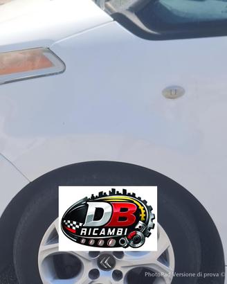 Parafango anteriore sx citroen c3 picasso 1.6 hdi 