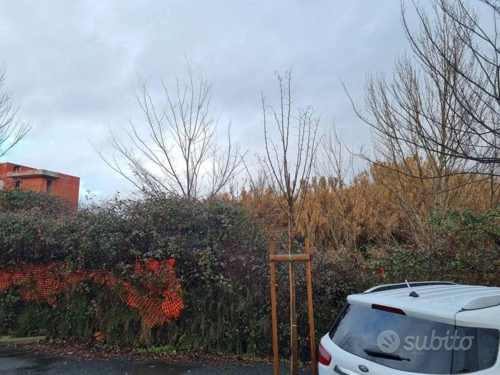 Immobile in asta di 4245 m² a Ponsacco - Vista 3