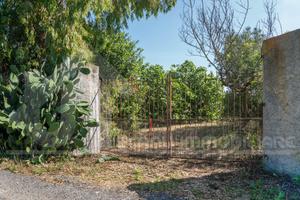 Monastir terreno agricolo con pozzo e elettricità