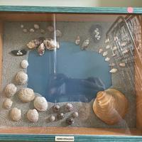 Quadri di conchiglie: serie soggetti