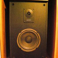 Casse Acustiche Advent Prodigy II (coppia)