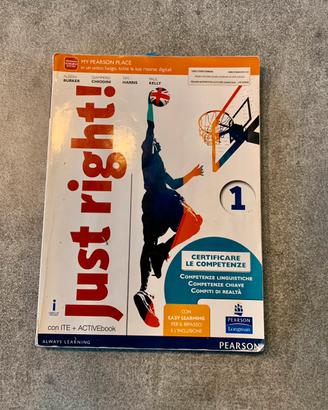 Libri scolastici (scuola media ) usati di inglese