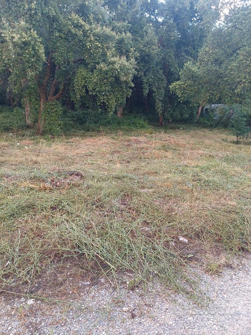 terreno a vibonati - Altro