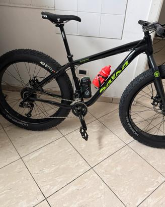 fat bike salsa beargrease