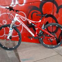 Specialized Epic Expert Carbon 2011 custom