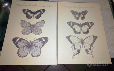 Quadri farfalle