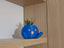 Immagine 6