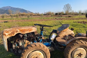 Trattore bertolini t412