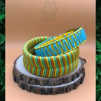 Collari, guinzagli e pettorine artigianali