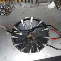 motore ruota vitale elettrico