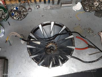 motore ruota vitale elettrico