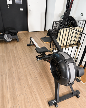 Skierg - Vogatore - Air Bike - GHD… ed altro