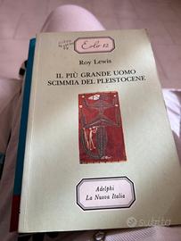 Il piu grande uomo scimmia del pleistocene