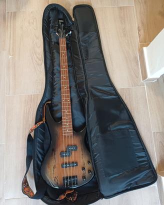 Basso elettrico Ibanez