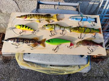 Esche luccio-siluro-big bass+cassetta plano magnum