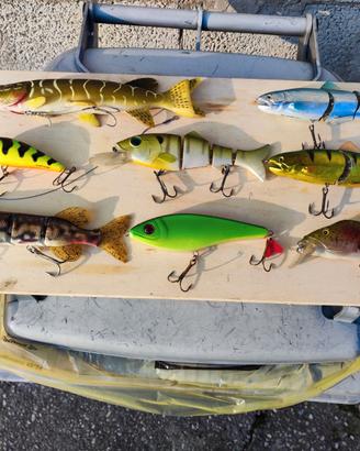 Esche luccio-siluro-big bass+cassetta plano magnum