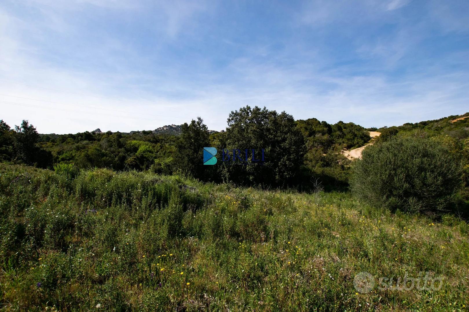 Terreno agricolo a soli 7 km da Palau - Altro