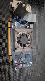 scheda video pegatron hd6450