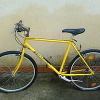 Bici mountain bike