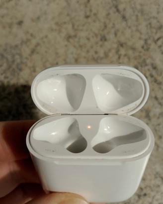 Case Apple 