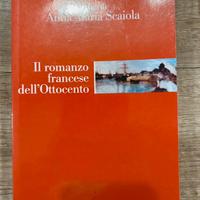 Il romanzo francese dell’Ottocento testo univer.