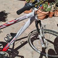 Mountain bike misura 26 