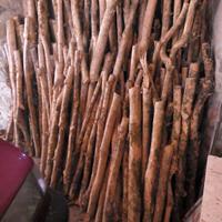 tronchetti in legno di bosso