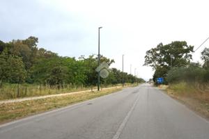TER. AGRICOLO A EBOLI
