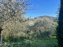 ter-residenziale-a-terni