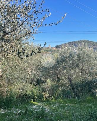 TER. RESIDENZIALE A TERNI