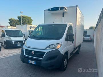 FIAT DUCATO 2.3 MJT 140 CV ISOTERMICO REFRIGERATO 