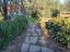 Immagine 17