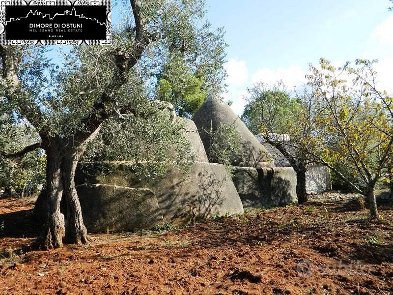 TRULLO con LAMIA e 8200mq TERRENO - AGRO DI OSTUNI - Vista 5