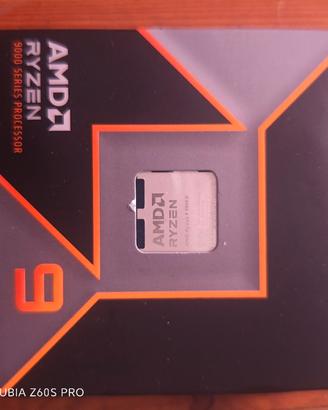 processor AMD RYZEN 9 9900x