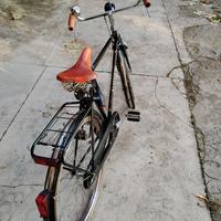 Bicicletta Silvestrini accessori Brooks