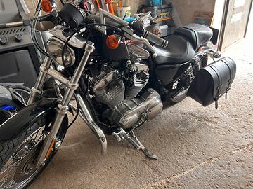 Harley Davidson 883 XL